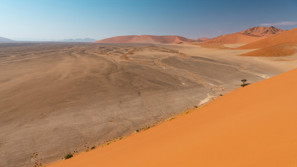 Fototapeta na wymiar Dune 45