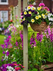 flowers in the garden