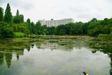 井の頭公園の風景