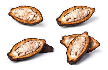 set of cocoa pod