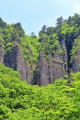 Fototapeta na wymiar 新緑の磐司岩