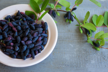 Composition of berries and honeysuckle leaves with a plate on a tree background