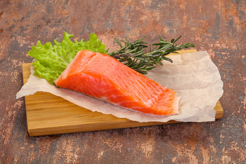 Piece of raw salmon