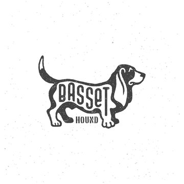 Basset hound logo