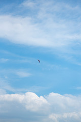 Fototapeta na wymiar 空と雲と鳥