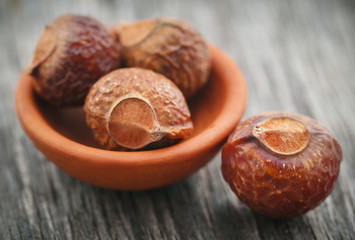 Sapindus mukorossi or Indian soapberry