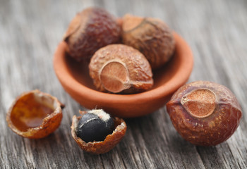 Sapindus mukorossi or Indian soapberry