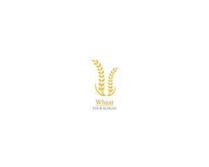 Agriculture wheat Logo Template vector icon design