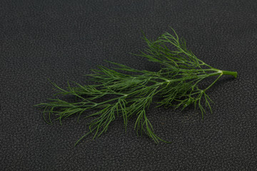Fresh green dill herb branch