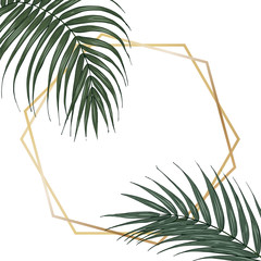 Fototapeta na wymiar Tropical plants, palm leaf, template for cards, invitations, posters, booklet, vector illustration