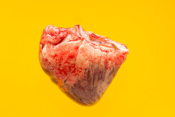 the heart of a bull on an yellow background 