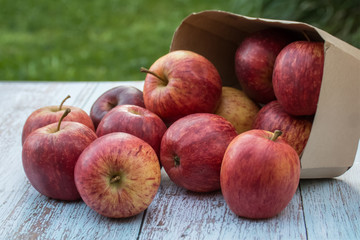 Organic ripe apples in a recyclable paper box on a wooden table in the garden. Cooking ingredients. Harvest. Sustainable living. Say “no” to plastic packaging.