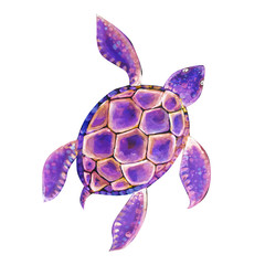 Beautiful turtle art water color background illustration