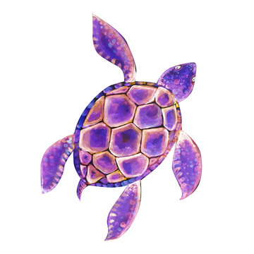 Beautiful turtle art water color background illustration