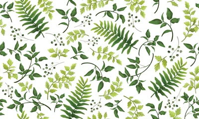 Wall murals Watercolor leaves Beautiful pattern seamless of fern, palm, natural branches, green leaves, herbs, hand drawn watercolor style fresh rustic eco. Vector decorative cute elegant illustration isolated white background