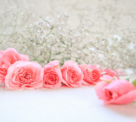 Pink roses on white background. Perfect for background greeting cards and invitations of the wedding, birthday, Valentine's Day, Mother's Day.