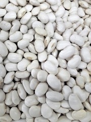 many white bean seeds