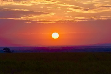 Serengeti sunset 1