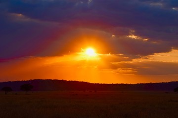 Serengeti sunset
