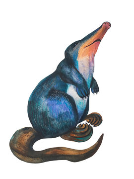 Hand drawn desman, muskrat. Rare animals, endangered species. Isolated