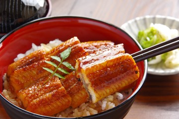 うな丼　鰻丼　和食
