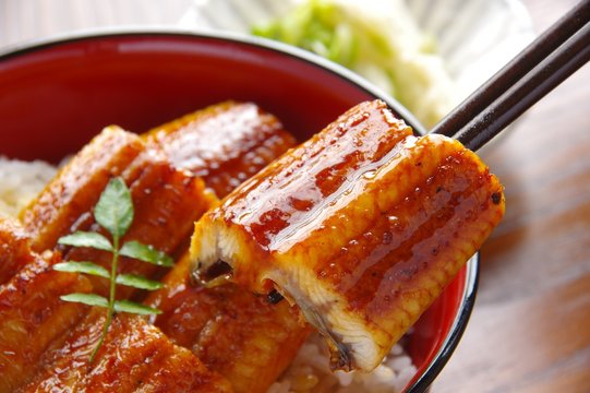 鰻丼 Images – Browse 2,079 Stock Photos, Vectors, and Video | Adobe Stock