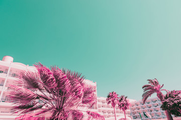 Palms and plants on background of hotels. Minimal and bright. Infrared pink and turquoise sky...