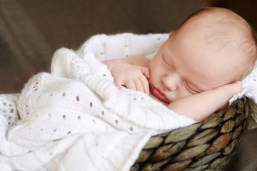 newborn  sleeping in  basket
