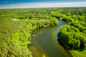 Fototapeta na wymiar River winding among the forest, aerial view of Poland