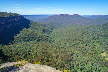 Fototapeta na wymiar hiking to olympian rock lookout, blue mountains, australia 5