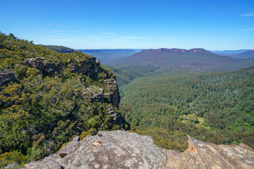 Fototapeta na wymiar hiking the prince henry cliff walk, blue mountains, australia 19