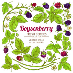 boysenberry elements set