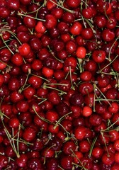 many red cherries