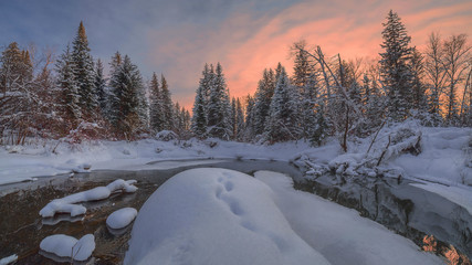 dusk at the taiga forest