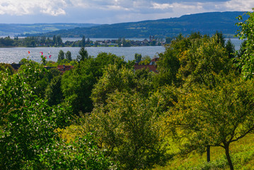 Fototapeta premium Im Monat September am Bodensee. Insel Reichenau und Kite surfing.