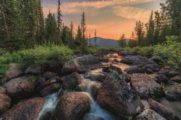 early morning on a mountain stream