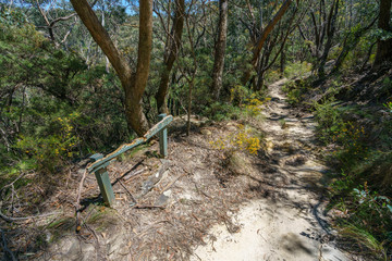 hiking the prince henry cliff walk, blue mountains, australia 37