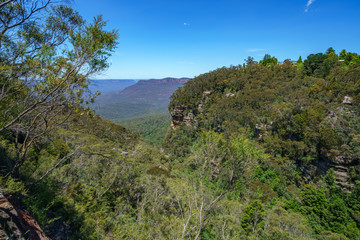 Fototapeta na wymiar hiking the prince henry cliff walk, blue mountains, australia 40