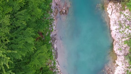 Flight of a quadcopter over a mountain's river canyon. We see the clear, transparent water of the river, it has the emerald color, the trees growing along the coast, and the mountains of northern Mont