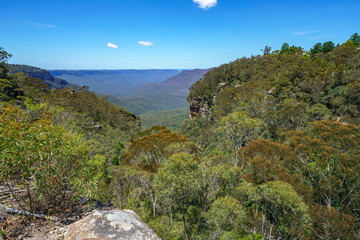 Fototapeta na wymiar hiking the prince henry cliff walk, blue mountains, australia 47