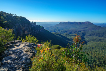 wollumai lookout, blue mountains national park, australia 4