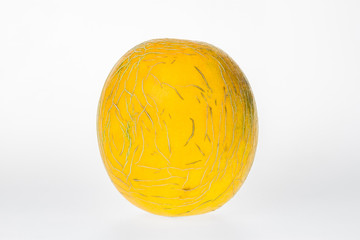 Melon on white background