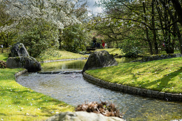 Fototapeta na wymiar Spring in Japanese Garden in Hasselt, Belgium
