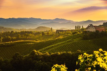View from famous wine street in south styria, Austria at tuscany like vineyard hills