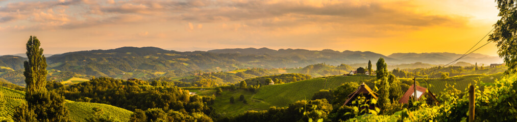 Fototapeta na wymiar Panorama View at South Styria Vineyard fields in sunset sun in summer. Tourist destination.