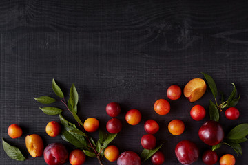 Summer set of berries situated at bottom of picture, lying chaotically with tiny green branches over wooden black background, bright ripe cherry plums made pattern. Flat lay, top view. Food concept.