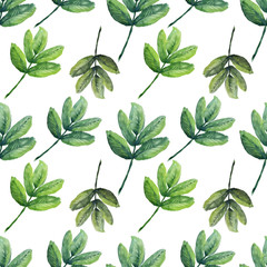 Watercolor background with stylized flowers