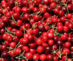Obraz na płótnie Canvas many red cherries