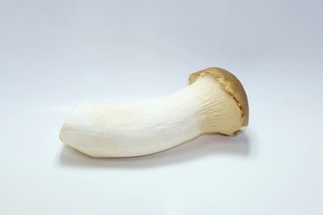 Mushrooms or Orinji isolated on white background, fresh vegetable for cooking, Single