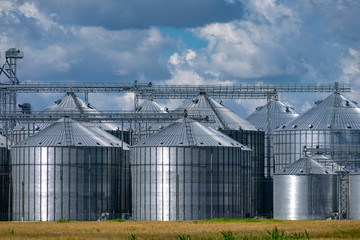 Grain elevator silos